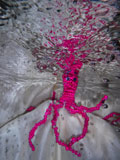 ‘Alien from the pink land of dreams’, Maksym Tovstyzhenko, 13 years old, (teacher T.D. Azarenko), Kharkiv ‘Alien from the pink land of dreams’, Maksym Tovstyzhenko, 13 years old, (teacher T.D. Azarenko), Kharkiv