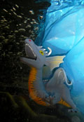 ‘Adventures of the sea dragon’, Yevhen Iluridze, 13 years old, (teacher T.D. Azarenko), Kharkiv ‘Adventures of the sea dragon’, Yevhen Iluridze, 13 years old, (teacher T.D. Azarenko), Kharkiv