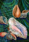 ‘Still-life with seashells’, Dasha Kravchenko, 13 years, (teacher I.G.Gorkovenko), Dalnegorsk