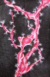 ‘Tenderness’, Oksana Ryzhaya, 12 years, (teacher V.V.Olishevskaya), Gorodok ‘Tenderness’, Oksana Ryzhaya, 12 years, (teacher V.V.Olishevskaya), Gorodok