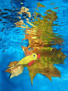 ‘Autumn Goldfish’, Mariya Bushmakina, 9 years, (teacher T. Azarenko), Kharkov